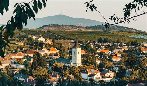 toklay today|Tokaj wine region.